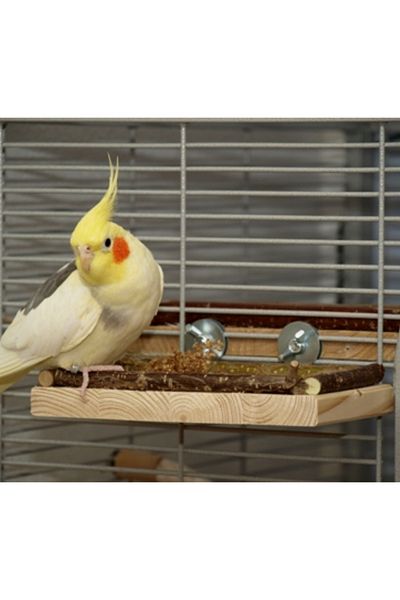 Alyones Large Wooden Seating Board "L" 20X20 - Ideal Rest and Playground for Birds