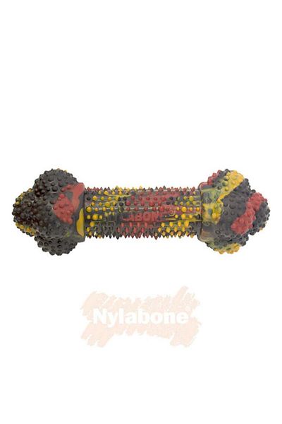 Nylabone Dog Chewing Bone with Pig Bacon and Cheeseburger Flavor M