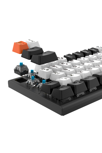 Everest Parley Siyah/beyaz Rainbow Aydınlatma Türkçe Q Blue Switch Elektronik Mekanik Gaming Oyuncu Klavyesi