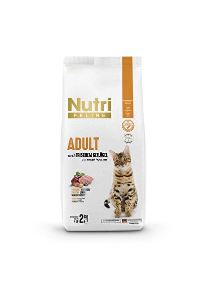 Nutri Feline Yetişkin Kediler için Taze Somonlu, Glutensiz ve Tahılsız 2 kg K...