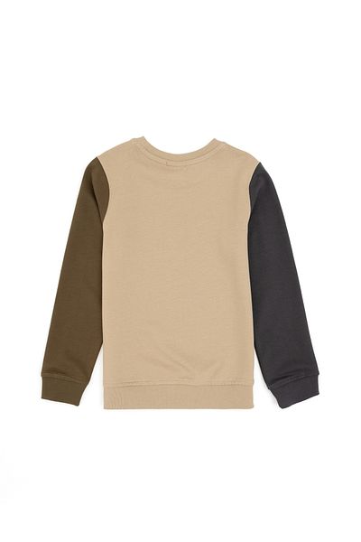 U.S. Polo Assn. Boy's Sand Crew Neck Sweatshirt 50293563 -Vr085