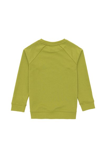 U.S. Polo Assn. Boy's Peanut Green Basic Crew Neck Sweatshirt 50293633 -Vr087