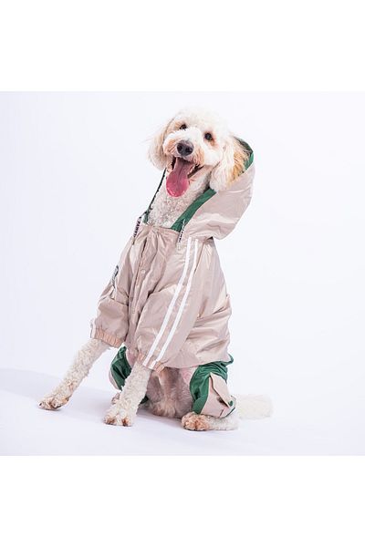 Pawstar Beige-Green BiColor Medium and Large Breed Dog Jumpsuit Dog Raincoat Dog Outfit