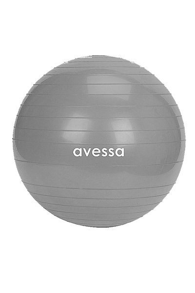 AVESSA Gray Pilates Ball - 55 cm Bag Packing, Bpt-55