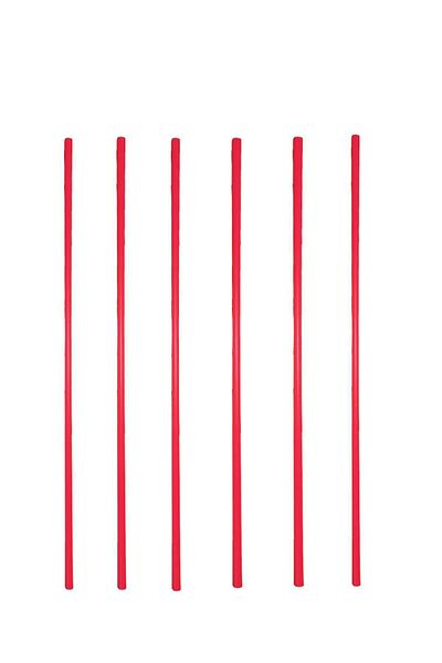 AVESSA Slm-20 Red Slalom Stick - 150cm, Set of 6