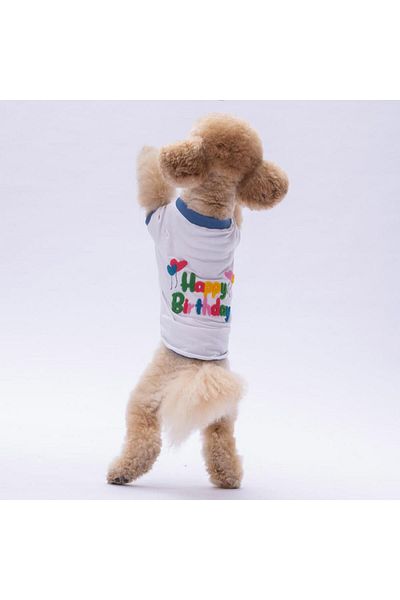Pawstar Dog Pattern Happy Birthday Sweatshirt - Outfit