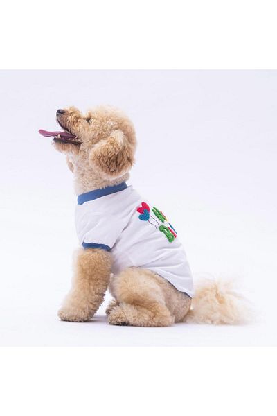 Pawstar Dog Pattern Happy Birthday Sweatshirt - Outfit