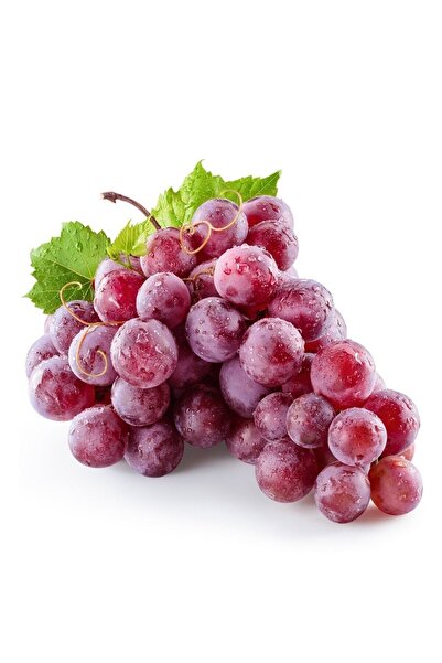 Tunç Botanik Red Globe Üzüm Fidanı 2 Yaş Tüplü