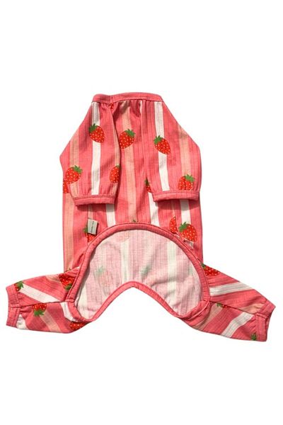 GedyCo Strawberry Combed Cotton Medium Breed Dog Jumpsuit