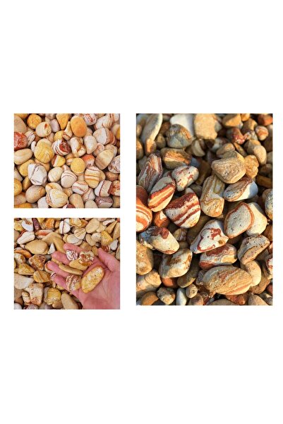 Tunç Botanik DOLOMİT TAŞI SARI ÇİZGİLİ 4-6 cm 10 KG DOĞAL DEKORASYON TAŞI