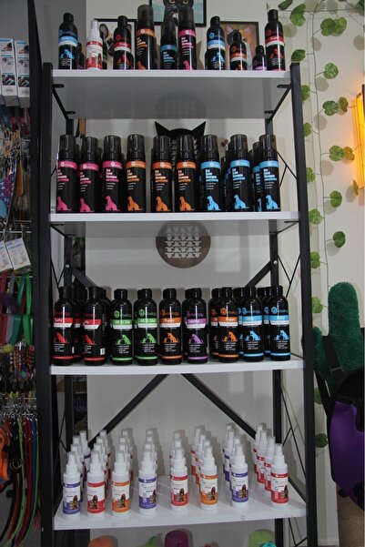 Petelogy Dirty Nektari Parfümlü Pet Şampuanı 5000 ml