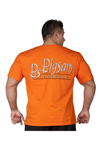 Big Sam Thin Cotton Summer T-Shirt 2579