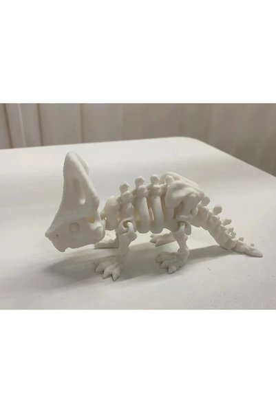 Macco Flexi-Fit Yuvarlak Köşeli Dinozor