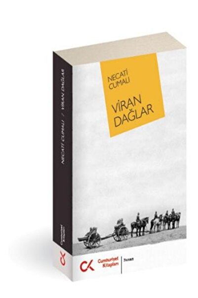 Timaş Yayınları Viran Dağlar
