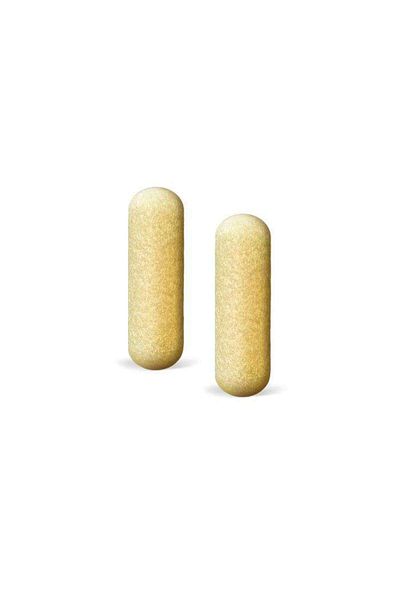 Molotow 5 mm Round End Refill - Pack of 2 699042
