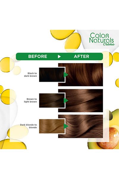 Garnier Color Naturals 6.34 chocolate Haircolor