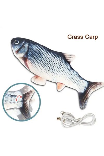 Choice Grass Carp Pet Cat Pet Dog Soft Plush Toy USB Charging Simulation Fish Interactive Training Grinding
