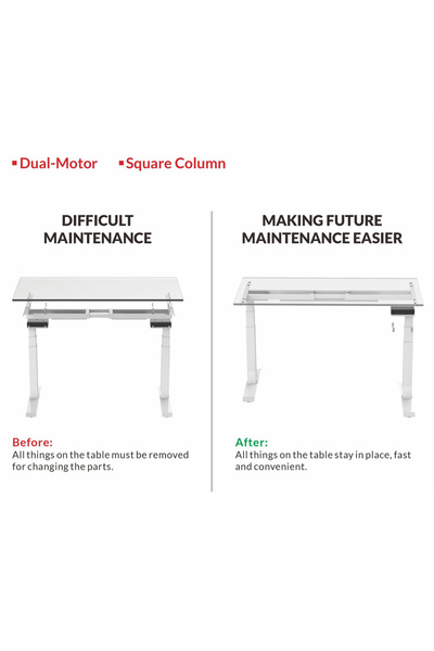 Mahmayi Flexispot Standing Desk Dual Motor 3 Stages Electric Stand Up Desk 140cmx80cm - Apple Cherry