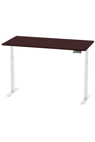 Mahmayi Flexispot Standing Desk Dual Motor 3 Stages Electric Stand Up Desk 120cmx60cm - Apple Cherry