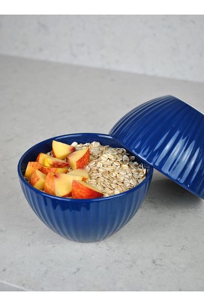 Purelegant Blue Stonware Bowl Bowl - Fruit Salad Food Bowl for Breakfast, 14cm-2 Pieces