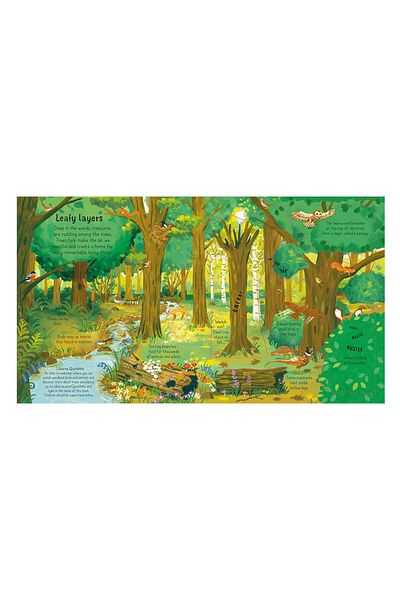 Usborne For Details LOOK INSIDE THE WOODS