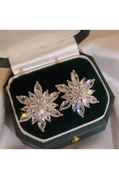 DANİSKA 1 Pair Snowflake Zircon Stone Earrings