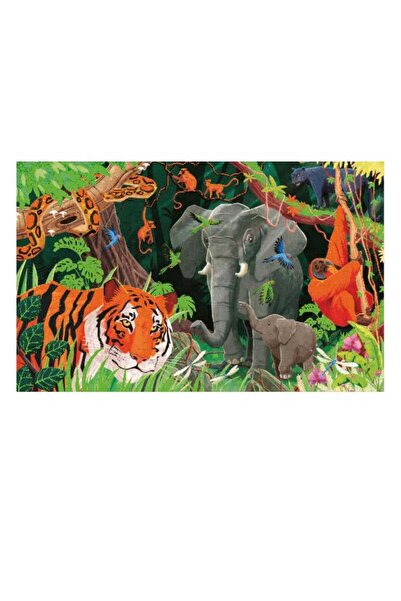 Sassi Junior Save the Planet - the Jungle