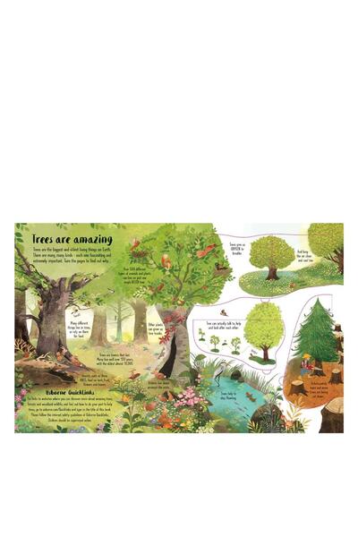 Usborne Lift The Flap Trees