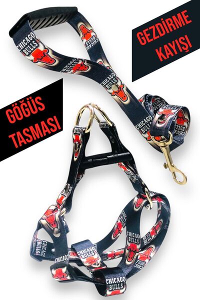 Angelapets طوق الكلب (طوق الصدر) مجموعة حزام المشي