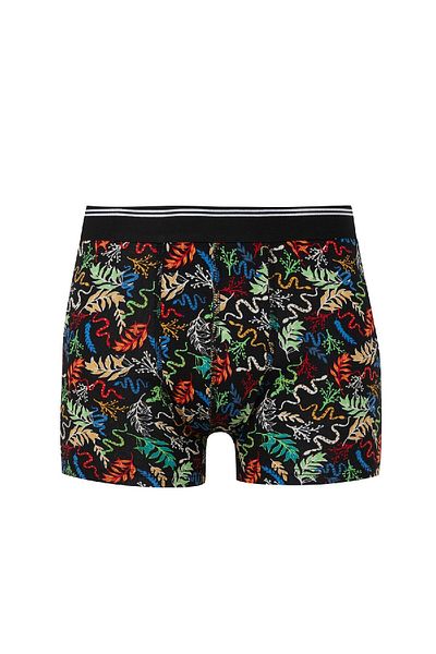 DeFacto Animal Printed 3 Piece Boxer Set - E0035ax24wn