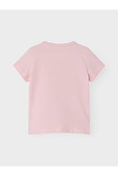 name ıt Yucca Nbfvubie Ss Top Box 13229240