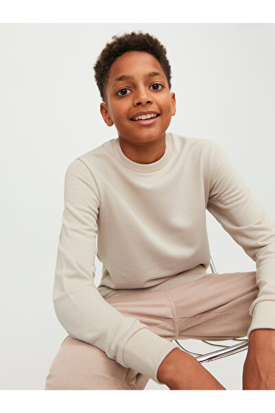 Jack & Jones Jjebradley Sweat Crew Noos Jnr 12250530   Moonbeam