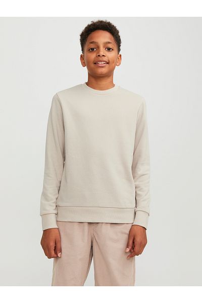 Jack & Jones Jjebradley Sweat Crew Noos Jnr 12250530   Moonbeam