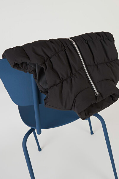 Name it Jacheta Neagra