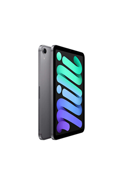 Apple iPad mini Wi-Fi + Cellular 256GB - Uzay Grisi