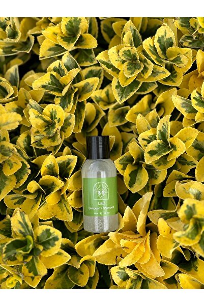 LUZ Otel Tipi Şampuan 100 adet 35 ml Tek Kullanımlık Mini Buklet Saç Temizlik Ürünü