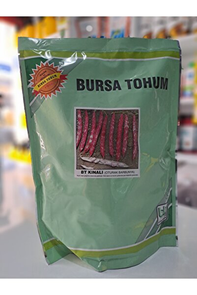 Bursa Tohumculuk Bursa BT Kınalı Oturak Barbunya Tohumu