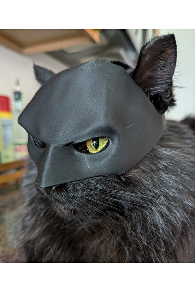 Cosinus Kediler için Batman Maskesi