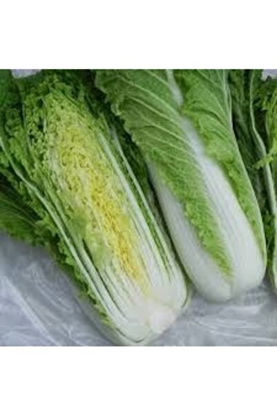 Köy Tohumları 50 Adet Tohum Nadir Organik Yeşil Çin Lahana Tohumu Organik İth...