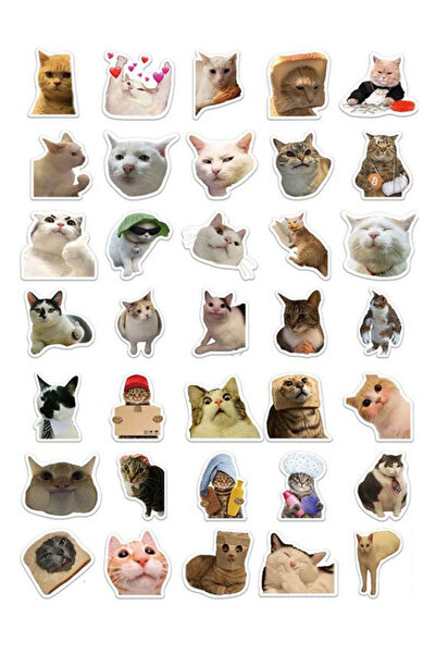 ANSHA CRAFTS "Kedi Mood Sticker Seti" 35 Adet - Bullet Journal - Ajanda -Plan...