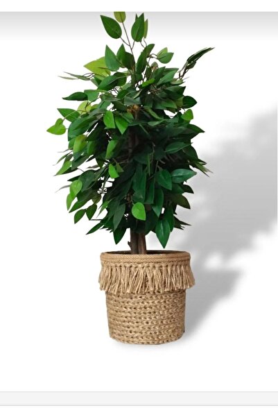 bayram taşcıoğlu home desing Hasır Görünümlü Dikilebilir Saksı Sepet Saksılık...