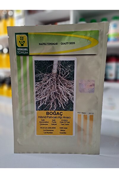 yüksel tohum Boğaç F1 Hibrid Patlıcan  Anaç Tohumu