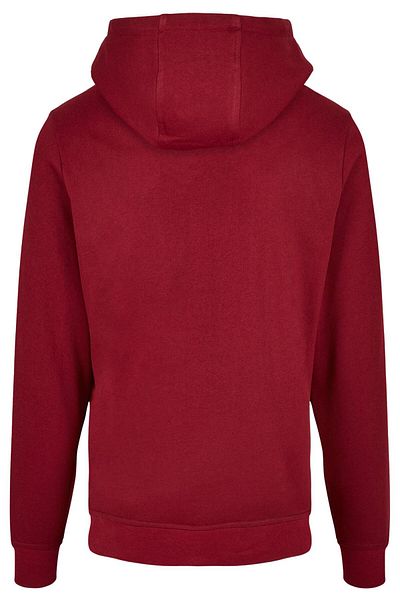 ABSOLUTE CULT Harry Potter - Seidenschnabel Line Art Basic Hoody