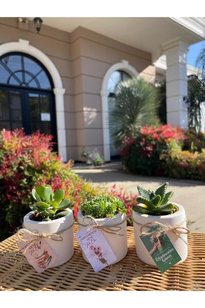 FİDAN PAZARI ÖĞRETMENLER GÜNÜ ÖZEL SİLİNDİR MODEL BETON SAKSI HEDİYELİK SUKUL...