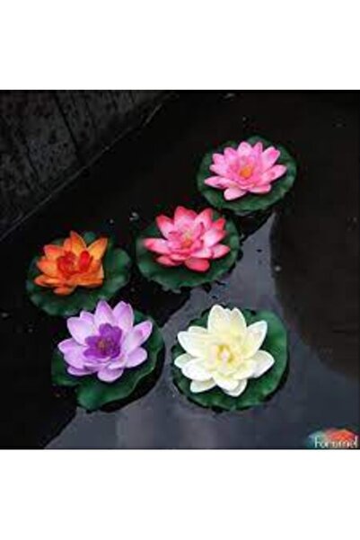 Köy Tohumları 15 Adet Tohum Karışık Lotus Su Çiçeği Tohumu Organik Nilüfer Çi...