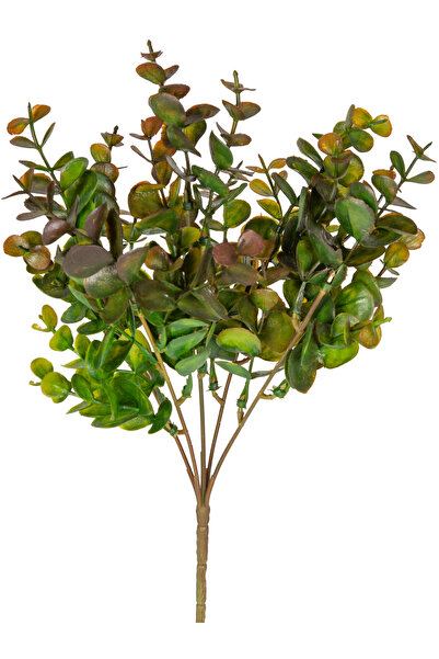 Herdekora أوكالبتوس صناعي بني-أخضر 30 سم.