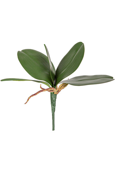 Herdekora Изкуствено листа от орхидея, зелено, 25 см