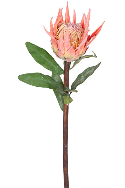 Herdekora Yapay Protea Çiçeği Turuncu 60 Cm.