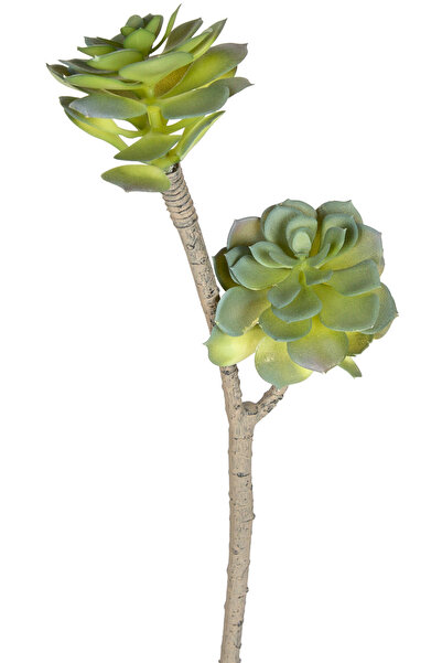 Herdekora Yapay Sukulent Kaktüs Yeşil 50 Cm.