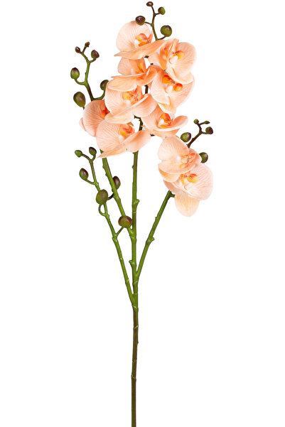 Herdekora Yapay Orkide Gerçek Dokulu Somon 80 Cm.